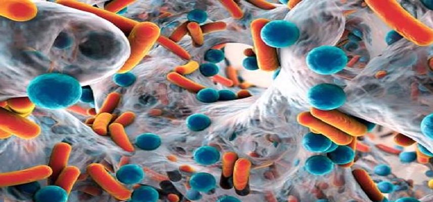 Venatorx Pharma Announces Cefepime-Taniborbactam's Phase 3 Study Publication